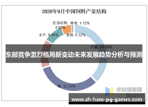东部竞争激烈格局新变动未来发展趋势分析与预测