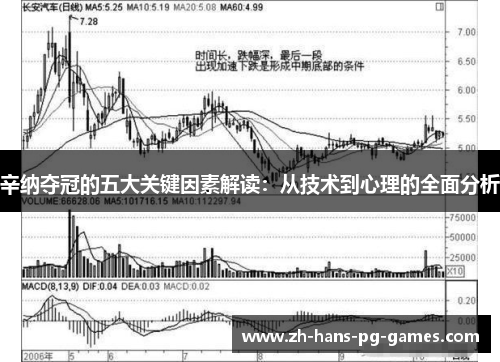 辛纳夺冠的五大关键因素解读：从技术到心理的全面分析