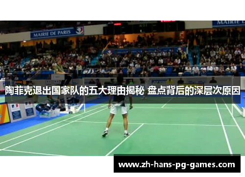陶菲克退出国家队的五大理由揭秘 盘点背后的深层次原因